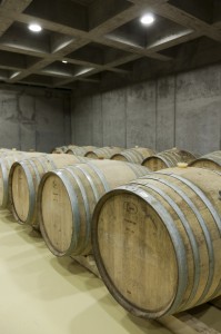 15 Fuleky Pince Foto - Gyula@Erhardt.hu 02 0225jpg